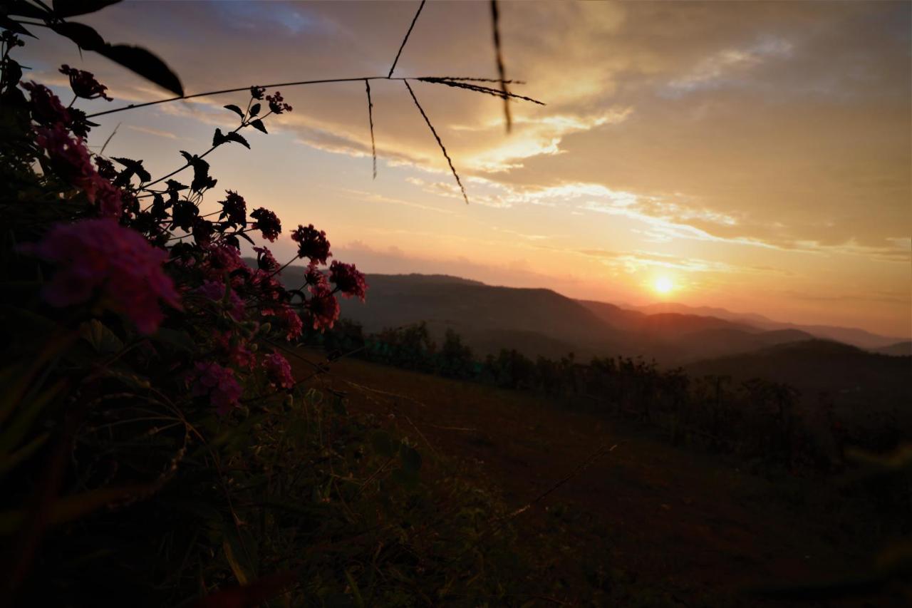 Peakaavu Cottages Idukki Dış mekan fotoğraf